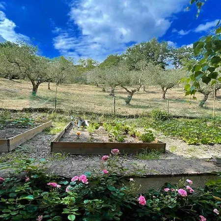 Spoleto Enchantedexc Pool, Gardens Villaaircon 3 Villa *