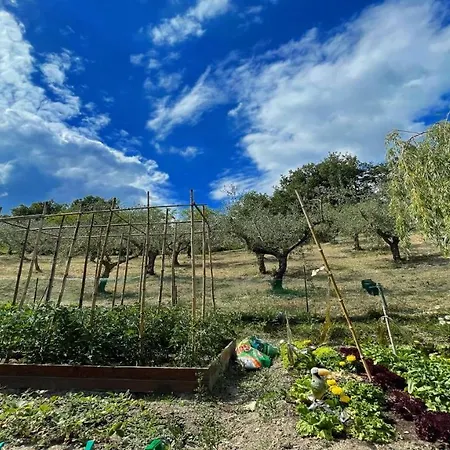 Villa Spoleto Enchantedexc Pool, Gardens Villaaircon 3 Uncinano